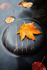 Aufkleber - A single leaf lies on a rocky surface in the water