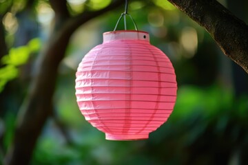 Poster - A colorful paper lantern hangs from a tree branch, perfect for outdoor parties or festivals