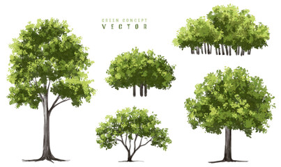 Wall Mural - vector watercolor green tree or forest side view isolated on white background for landscape and arch