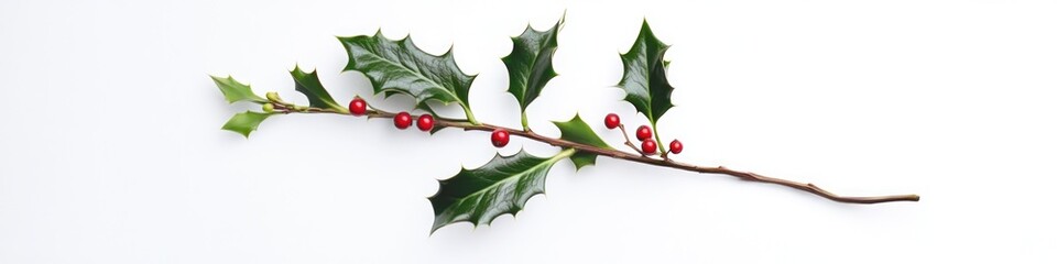 Aufkleber - A single stem of holly plant with bright red berries on a white background, perfect for winter or Christmas themes