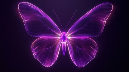 Wall Mural - A glowing purple neon butterfly.