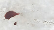 © Nadiyah - Blood Stain on Concrete Floor