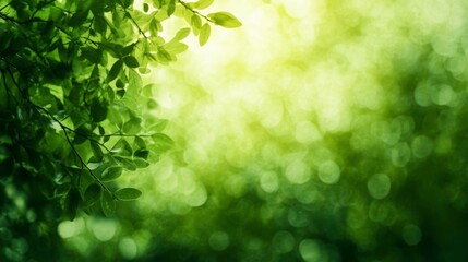 Poster - Enhancing visual appeal with green gradient backdrop for product photography