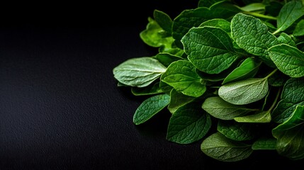 Wall Mural - Flat Lay Display of Fresh Green Marjoram Leaves Scattered on a Dark Surface with Texture