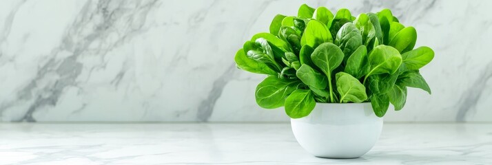 Wall Mural - Fresh Spinach in White Bowl - Vibrant green spinach leaves in a small white bowl, set against a marble background.  Healthy eating concept.