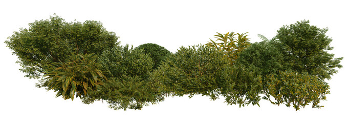 3d render small garden with plants and shrubs on transparent background.