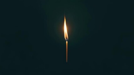 Poster - Single match burning in darkness, casting a warm glow and illuminating the surroundings. Evoking themes of fire, survival, hope, and light amidst shadows