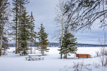 winter solitude at paignton beach in prince albert national park, canada