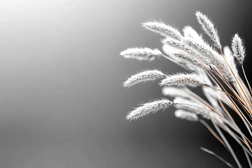 Poster - Delicate grass stalks arranged beautifully against a minimalist background in soft monochrome tones