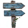 © DJINN 369 - Vintage Wooden Signposts with Blue Weathered Finish Surrounded by Green Ivy Against a White Background for Rustic Decor Projects and Inspiration