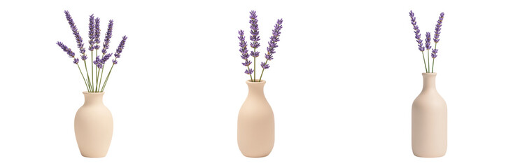 Wall Mural - soft pastel decor with lavender flowers vases isolated on transparent background