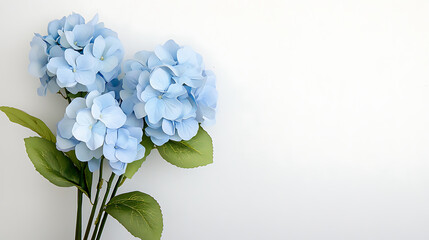 Canvas Print - A blue flower bouquet with a white background