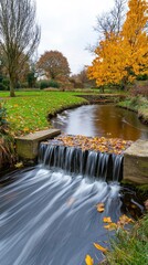 Wall Mural - Autumnal stream flowing over a small dam in a park.  Possible use nature photography