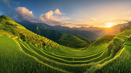 Leinwandbilder - Sunset illuminating vibrant rice terraces in Mu Cang Chai, Vietnam