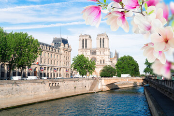 Wall Mural - Notre Dame cathedral, Paris France