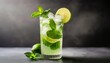 © Photonique - Fresh cold mojito cocktail with mint leaves and a slice of lime on grungy grey background, refreshing summer drink, product placement and copy text space