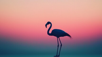 Poster - An isolated flamingo silhouette against a pastel-colored sky, perfect for creative projects. 
