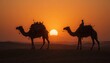 © GIFTE - Desert sunset camel journey dunes photography evening side view adventure