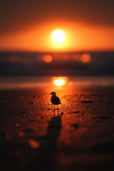 Poster - Lone bird stands on beach as sun sets over ocean, vibrant colors reflect on sand