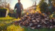 © Jiraphat - A person stands near a large pile of autumn leaves in a sunlit garden, surrounded by greenery and trees, enjoying the beauty of fall.