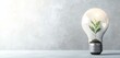 © UMAR SALAM - Realistic design of a light bulb with a small plant growing inside, symbolizing ideas and environmental growth, on a light background with generous copy space.