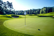 © inas - Sunlit golf green with flagstick casting a shadow on a clear day