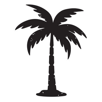 Palm Tree Silhouette