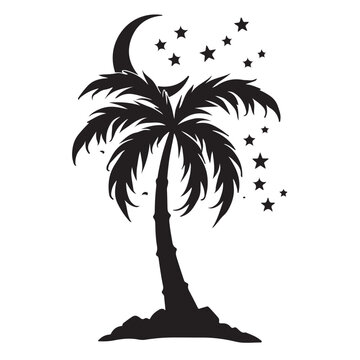 Palm Tree Under the Night Sky