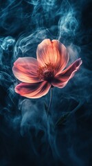 Poster - single pink flower with ethereal smoke effect, dark moody background. mysterious and artistic concept