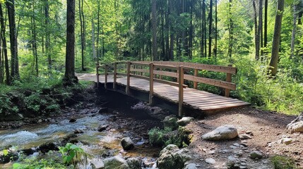 Canvas Print - Serene Wooden Bridge in Lush Forest