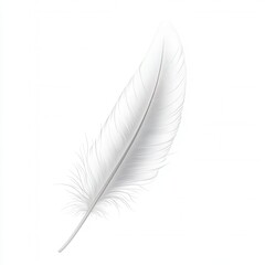 Poster - Delicate Minimalist Feather Design, Elegant lines, Transparent background, Ideal for digital projects, branding, and artistic applications