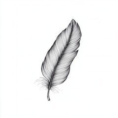 Wall Mural - Delicate Minimalist Feather Design, Elegant lines, Transparent background, Ideal for digital art, graphic design, and branding projects.