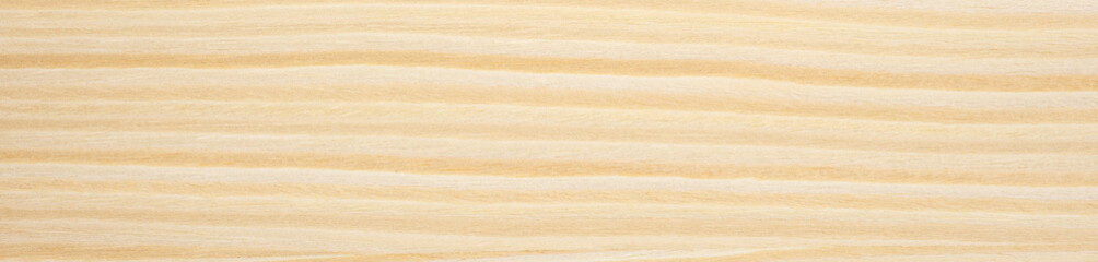 Wall Mural - Warm golden hues blend harmoniously on this ash veneer surface, showcasing nature's artful striations