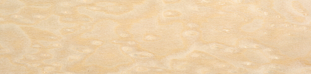 Wall Mural - Whimsical patterns of creamy vanilla and soft alabaster swirl in the unique burl of this maple veneer