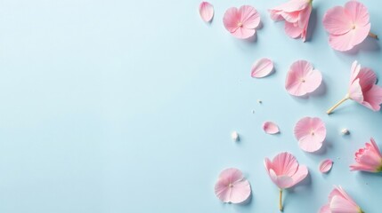 Poster - Delicate Pink Blossoms and Petals Scattered on a Light Blue Background, a Serene and Elegant Floral Arrangement for Design Inspiration