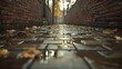 © MAKASIHMAS SIDNEY - Autumn alley, wet cobblestones, brick walls, fall leaves.  Possible use Stock photo