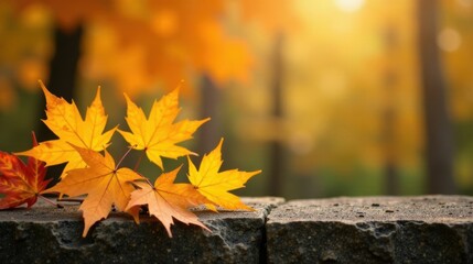 Poster - Autumnal foliage rests gently on a stone surface, bathed in the warm glow of a sunlit fall landscape