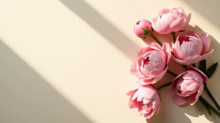 Poster - Soft Sunlight Illuminates Delicate Pink Blooms Arranged Artfully on a Pale Background