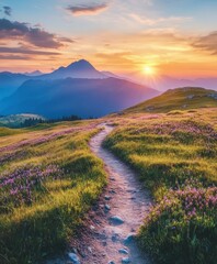 Wall Mural - Pathway through blooming fields at sunset in the mountains