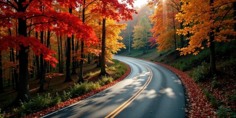 Aufkleber - Autumnal Road Winding Through a Canopy of Vibrant Red and Golden Leaves