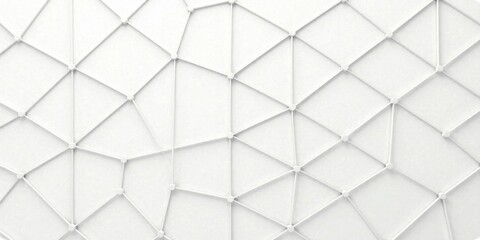 Leinwandbilder - Abstract White Geometric Network Pattern Interconnected Nodes and Lines Forming a Complex Structure