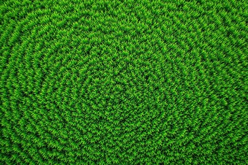 Poster - Close-up of vibrant green grass in a circular pattern on a natural background.