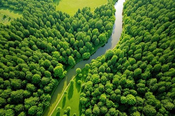Aufkleber - Aerial view of lush green forest with a winding river creating a serene and vibrant natural landscape.