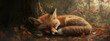 © Jakub - Photograph of a cute baby fox sleeping in the forest