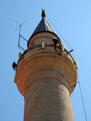 Sticker - Historical Belen Mosque in Milas, Mugla, Turkey.