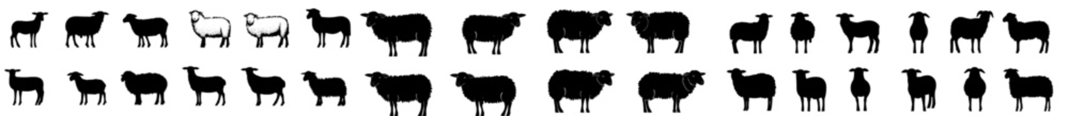 Set of sheep silhouettes, modern design in a large pack, against an isolated white background