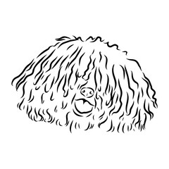 Wall Mural - Minimalist puli dog logo design. Modern line art, vector, graphic, icon, illustration