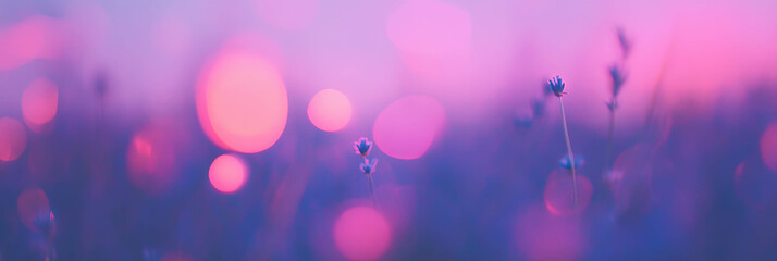 Poster - Blurred lavender field with soft bokeh tones creating a serene atmosphere for backgrounds
