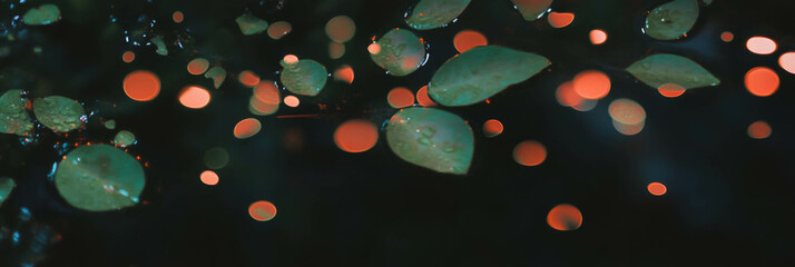 Fototapete - Droplets on a textured leaf showcase vibrant reflections of surrounding foliage and light
