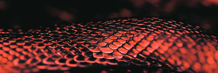 Poster - Hand-drawn snake skin texture with intricate triangular scales and fine detailing